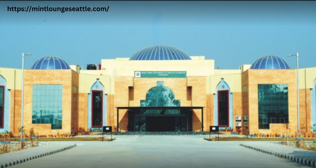 Baba Farid University