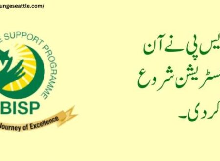 Benazir Income Support