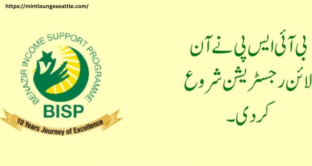 Benazir Income Support