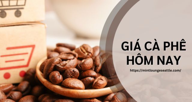 Giá Cafe Hôm Nay