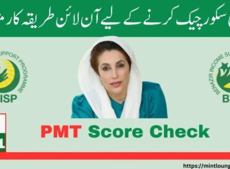 Pmt Score Check